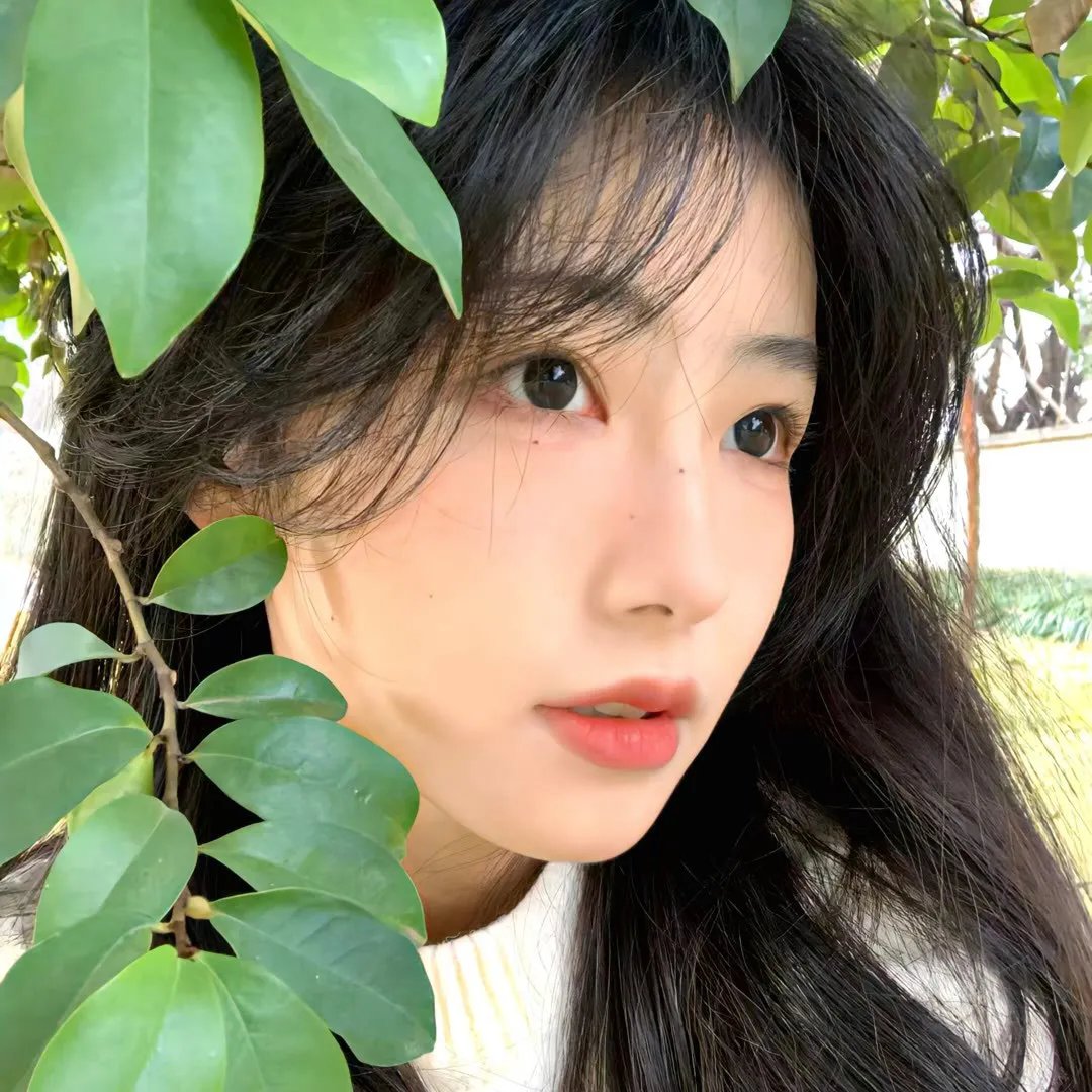 修女也疯狂